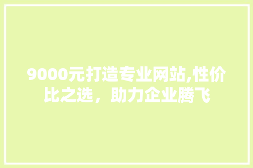 9000元打造专业网站,性价比之选，助力企业腾飞 Java