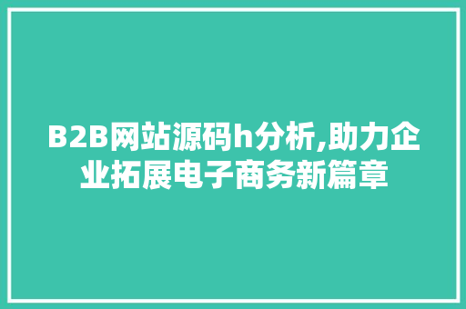 B2B网站源码h分析,助力企业拓展电子商务新篇章