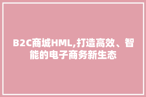 B2C商城HML,打造高效、智能的电子商务新生态