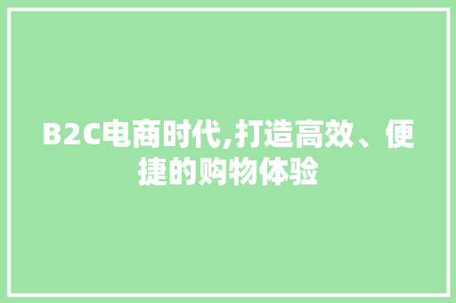 B2C电商时代,打造高效、便捷的购物体验