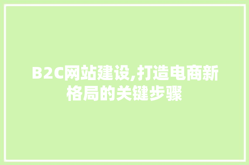 B2C网站建设,打造电商新格局的关键步骤 SQL