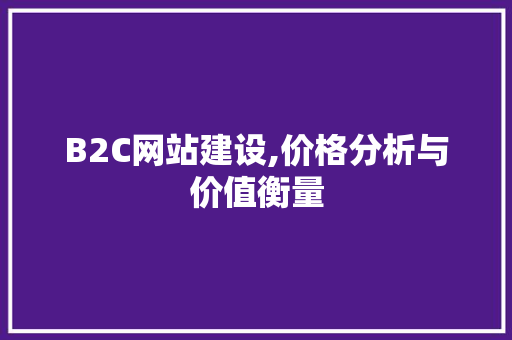 B2C网站建设,价格分析与价值衡量