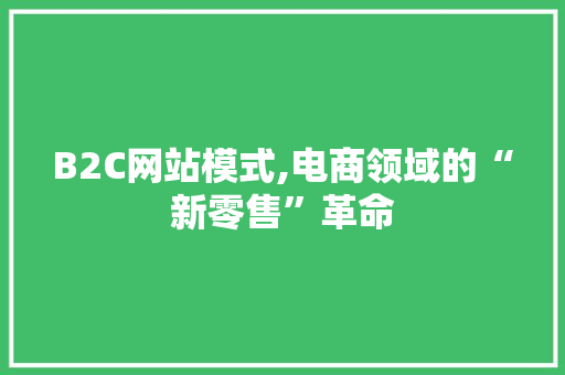 B2C网站模式,电商领域的“新零售”革命