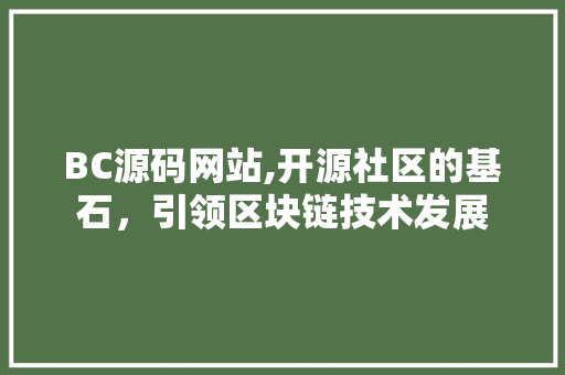 BC源码网站,开源社区的基石，引领区块链技术发展