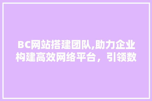 BC网站搭建团队,助力企业构建高效网络平台，引领数字化转型新篇章 Python