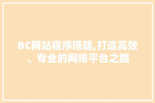 BC网站程序搭建,打造高效、专业的网络平台之路