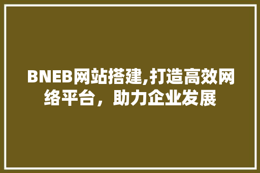 BNEB网站搭建,打造高效网络平台，助力企业发展 Webpack