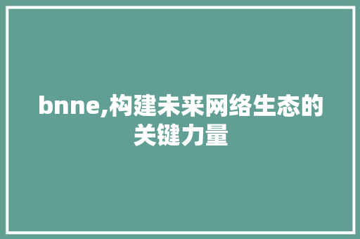 bnne,构建未来网络生态的关键力量