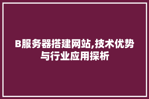 B服务器搭建网站,技术优势与行业应用探析