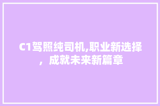 C1驾照纯司机,职业新选择，成就未来新篇章