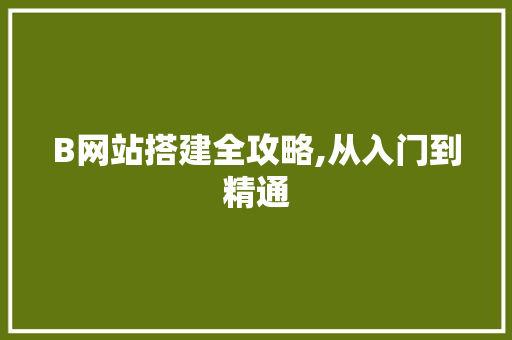 B网站搭建全攻略,从入门到精通 HTML