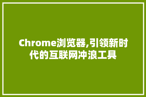 Chrome浏览器,引领新时代的互联网冲浪工具