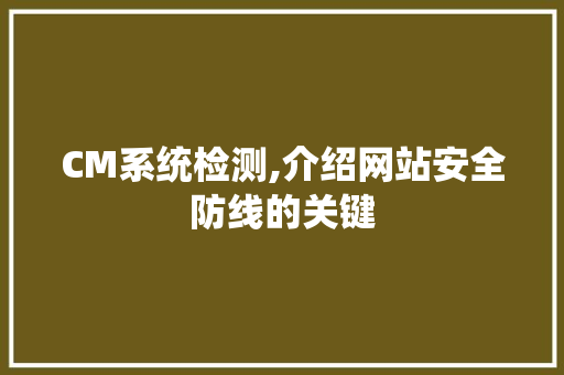 CM系统检测,介绍网站安全防线的关键