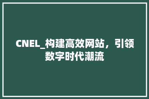 CNEL_构建高效网站，引领数字时代潮流 Java