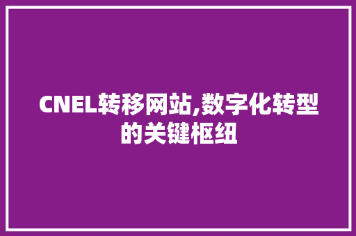 CNEL转移网站,数字化转型的关键枢纽