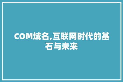 COM域名,互联网时代的基石与未来