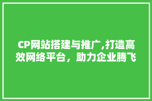 CP网站搭建与推广,打造高效网络平台，助力企业腾飞