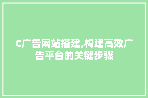 C广告网站搭建,构建高效广告平台的关键步骤 CSS