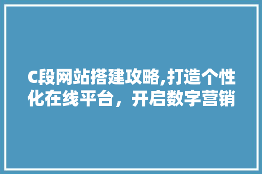 C段网站搭建攻略,打造个性化在线平台，开启数字营销新篇章 CSS