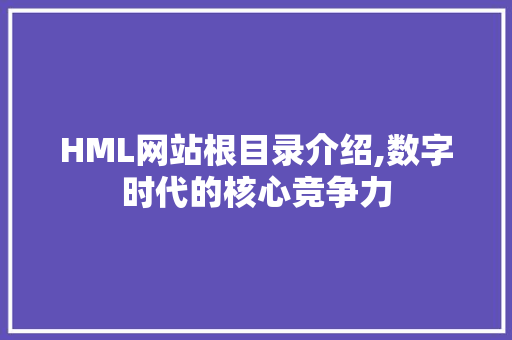 HML网站根目录介绍,数字时代的核心竞争力