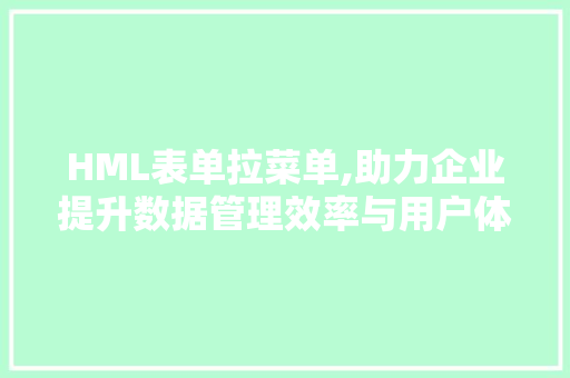 HML表单拉菜单,助力企业提升数据管理效率与用户体验