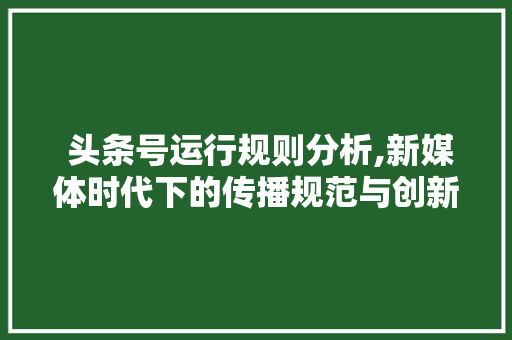  头条号运行规则分析,新媒体时代下的传播规范与创新