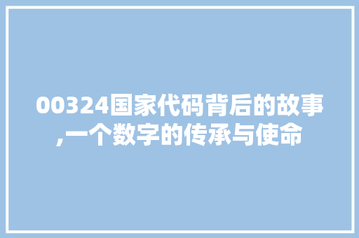 00324国家代码背后的故事,一个数字的传承与使命