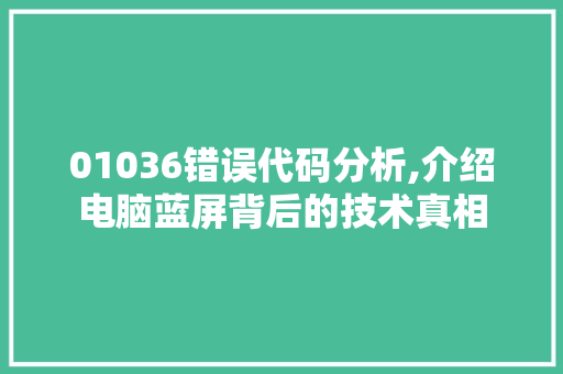 01036错误代码分析,介绍电脑蓝屏背后的技术真相