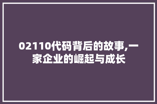 02110代码背后的故事,一家企业的崛起与成长