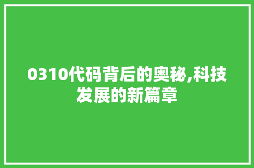 0310代码背后的奥秘,科技发展的新篇章