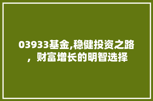 03933基金,稳健投资之路，财富增长的明智选择