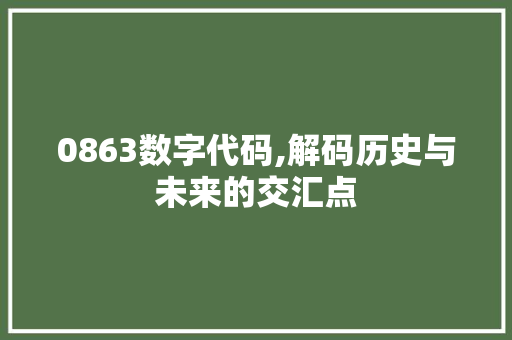 0863数字代码,解码历史与未来的交汇点