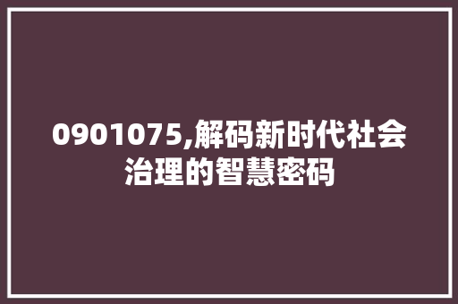 0901075,解码新时代社会治理的智慧密码