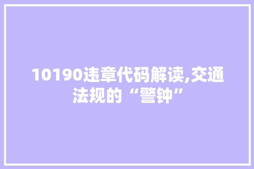 10190违章代码解读,交通法规的“警钟”