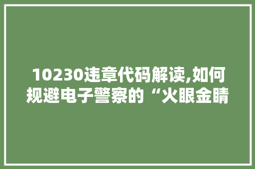 10230违章代码解读,如何规避电子警察的“火眼金睛”