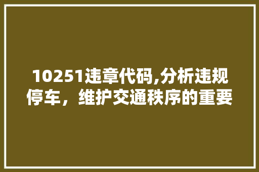 10251违章代码,分析违规停车，维护交通秩序的重要举措