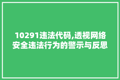 10291违法代码,透视网络安全违法行为的警示与反思