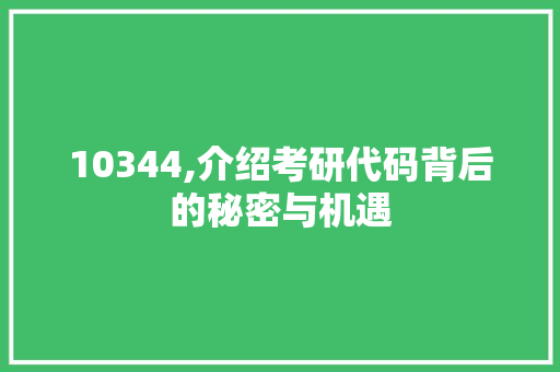 10344,介绍考研代码背后的秘密与机遇