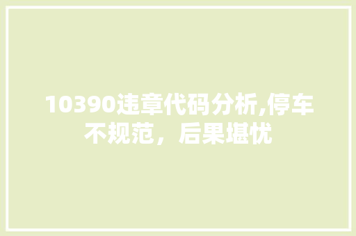 10390违章代码分析,停车不规范，后果堪忧