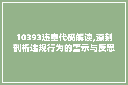 10393违章代码解读,深刻剖析违规行为的警示与反思