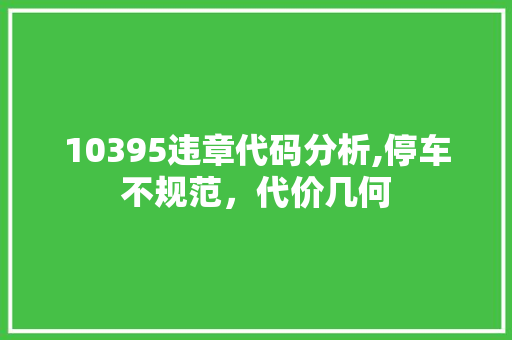 10395违章代码分析,停车不规范，代价几何