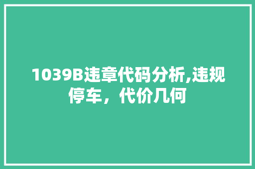 1039B违章代码分析,违规停车，代价几何