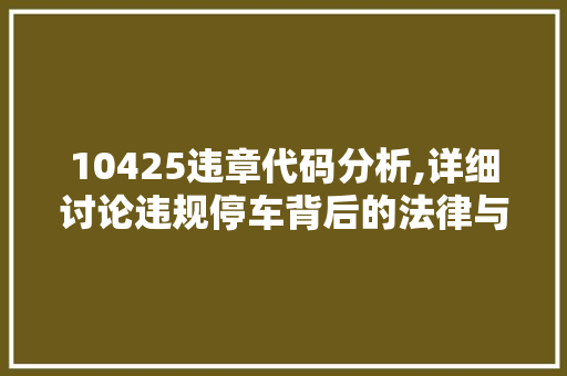 10425违章代码分析,详细讨论违规停车背后的法律与道德问题