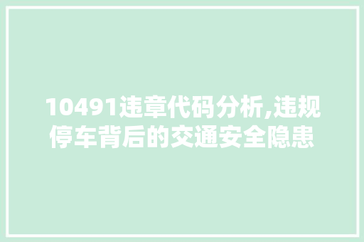 10491违章代码分析,违规停车背后的交通安全隐患