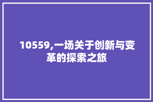 10559,一场关于创新与变革的探索之旅