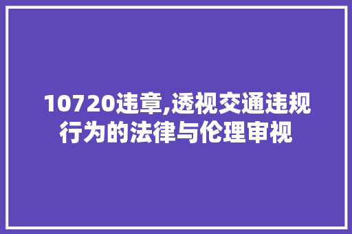 10720违章,透视交通违规行为的法律与伦理审视