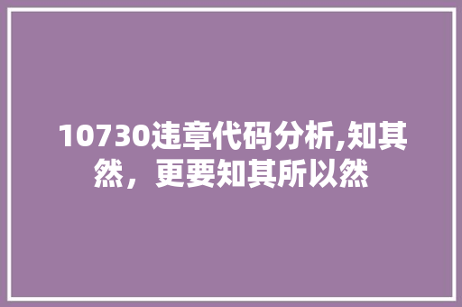 10730违章代码分析,知其然，更要知其所以然