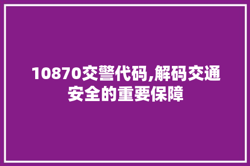 10870交警代码,解码交通安全的重要保障