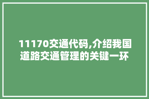 11170交通代码,介绍我国道路交通管理的关键一环