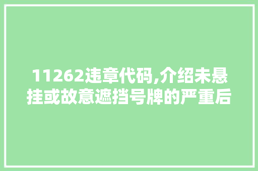 11262违章代码,介绍未悬挂或故意遮挡号牌的严重后果